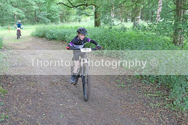 561 - MTB East Round 5 Gallows Green 25th May 2025 Under 7s Under 9s Under 12s Races 08:45 – 9:35