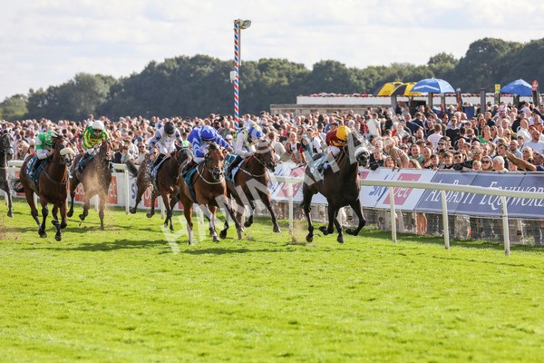 240824-Race 6-Tropical Storm-9198 - Race 6 4.45pm Julia Graves Roses Stakes