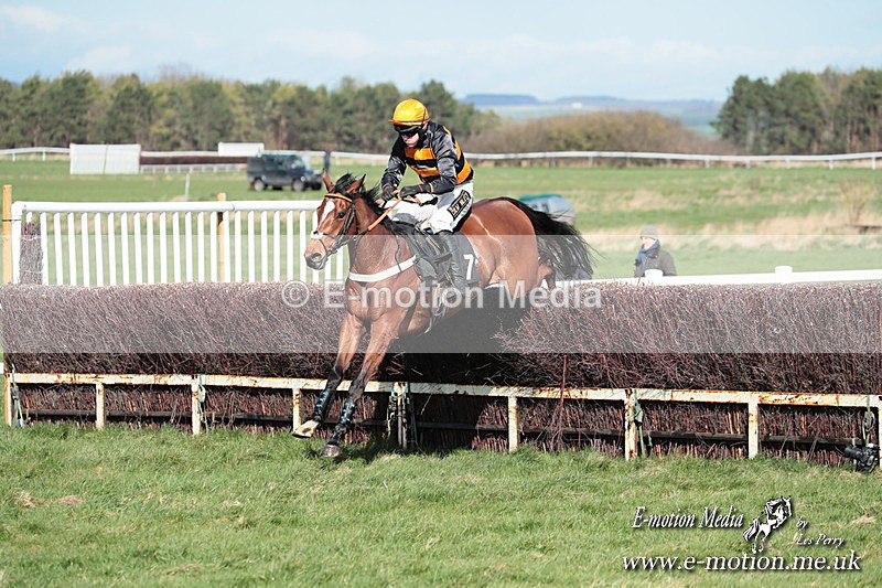 PtP 230324 554 - Tedworth Hunt PtP Larkhill Raccourse 23rd March 2024