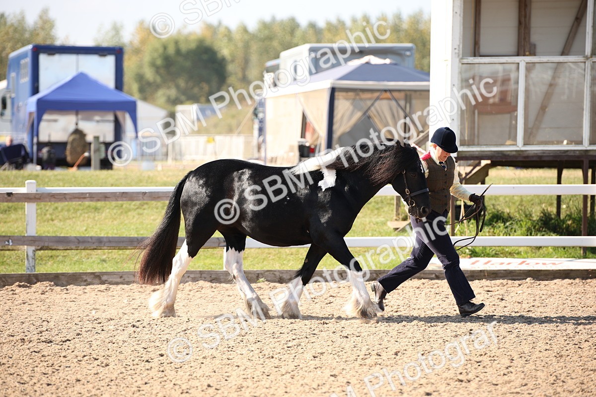 SBM_01478