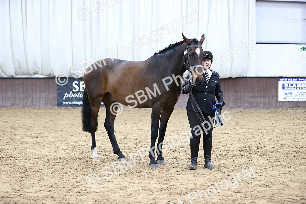 SBM_5779 - Class 3 - BSHA In Hand Show Hunter