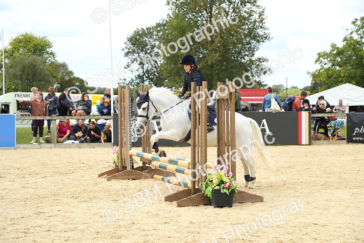 SBM_41452 - J6 - Junior Pony 55cm Championships
