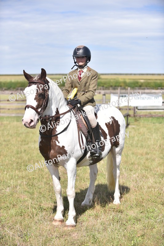 20260906-2674 - Class 12 - 14.2hh and Under