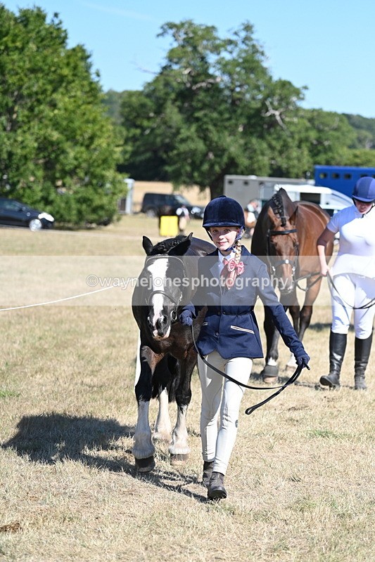 WJ7_1829 - Class 43 Best Six Legs (In hand)