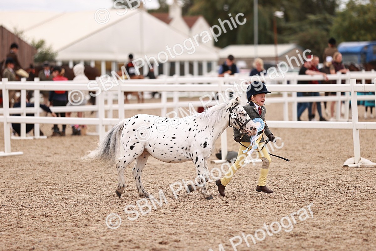 SBM_18639 - Class 421 - Childs Best Friend - Jnr