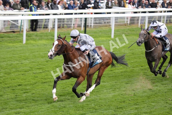 yr12052022r5-18 - Race 5 4.10pm British Stallion Studs EBF Westow Stakes