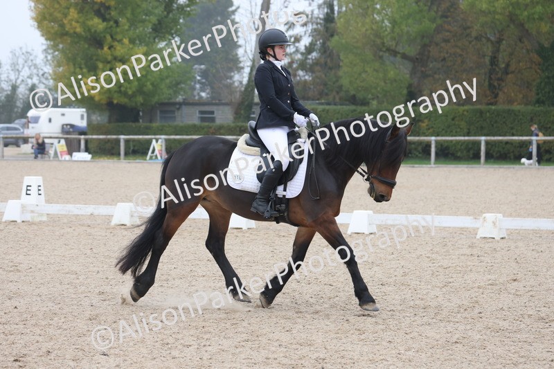 20251012-0425 - Class 3 - Novice 5