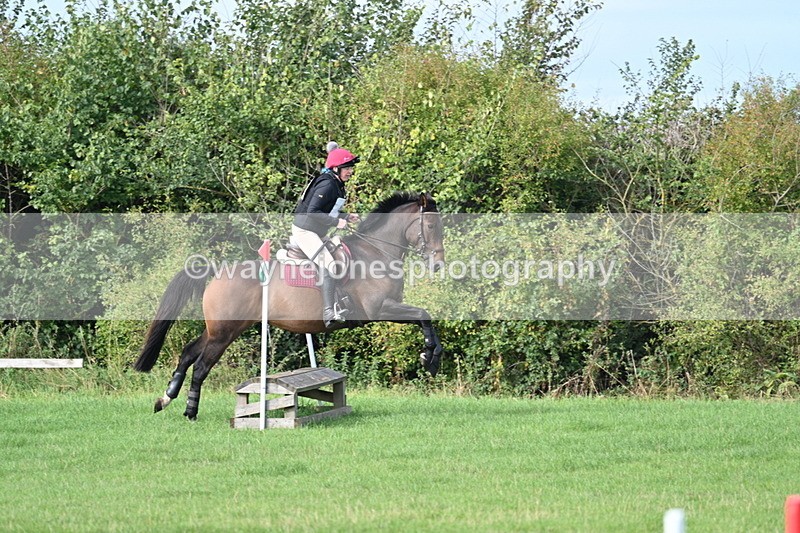 WJ7_8299 - 60cm Pairs