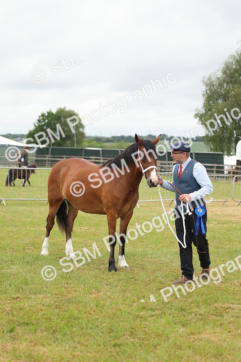 SBM_04843 - Class 50-57 - M&M Welsh Pony In Hand