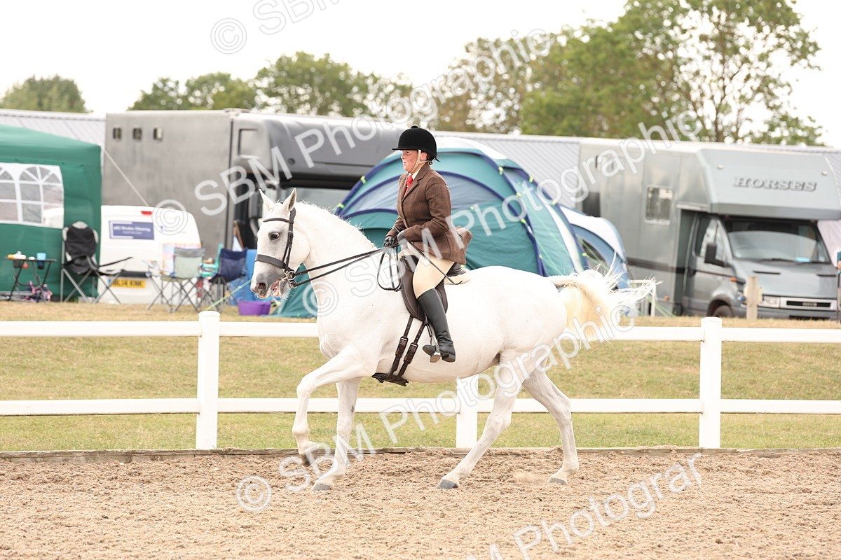 SBM_16503 - Class 212 - Ridden Hunter - Small