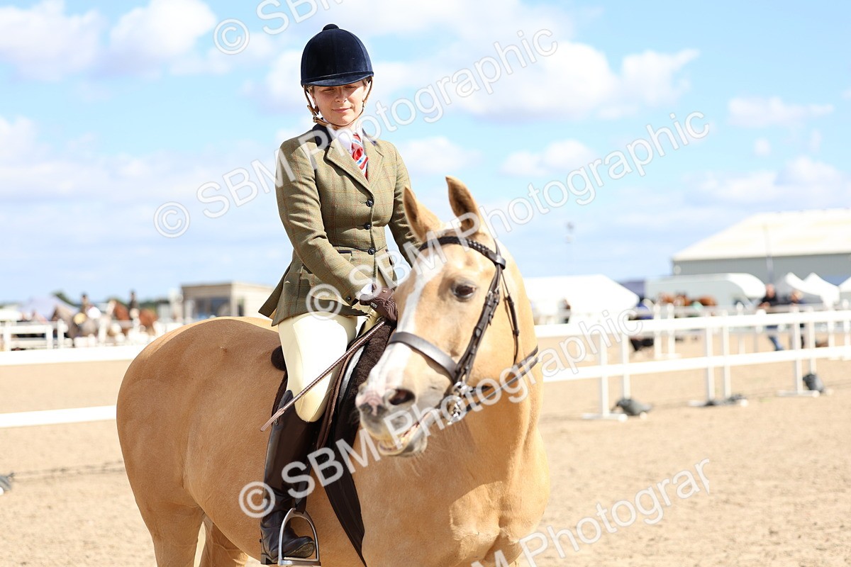 SBM_13291 - Class 311 - Ridden Show Pony Show Hunter Pony