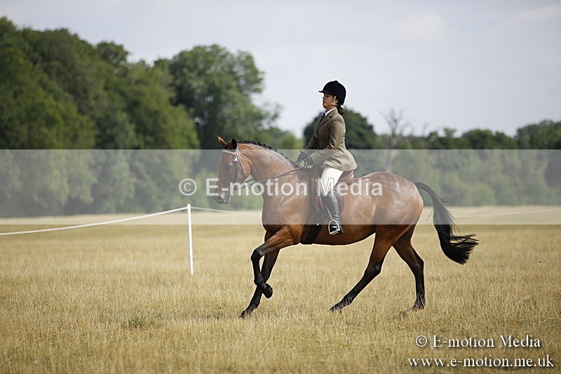 _C7A9309 - BVRC Show 2018 Ring 1