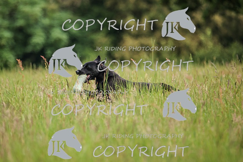 2R6A7795 - 28 Liz