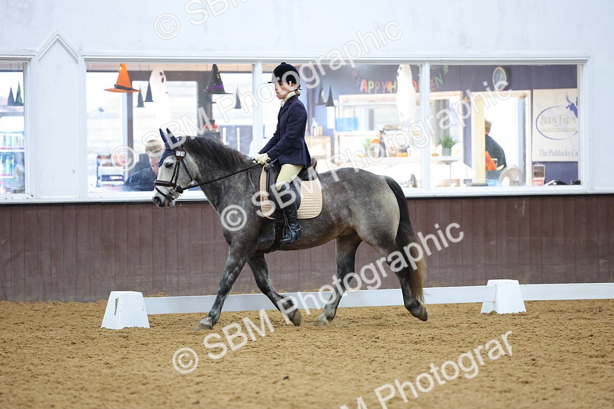 SBM_001081 - Novice