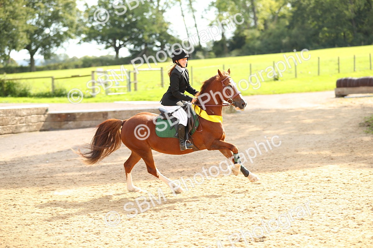 SBM_68045 - J17 - Junior Pony 80cm Championship