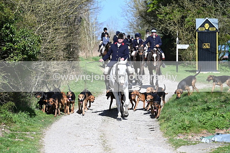 WJ7_9638 - Home for hunt tea !