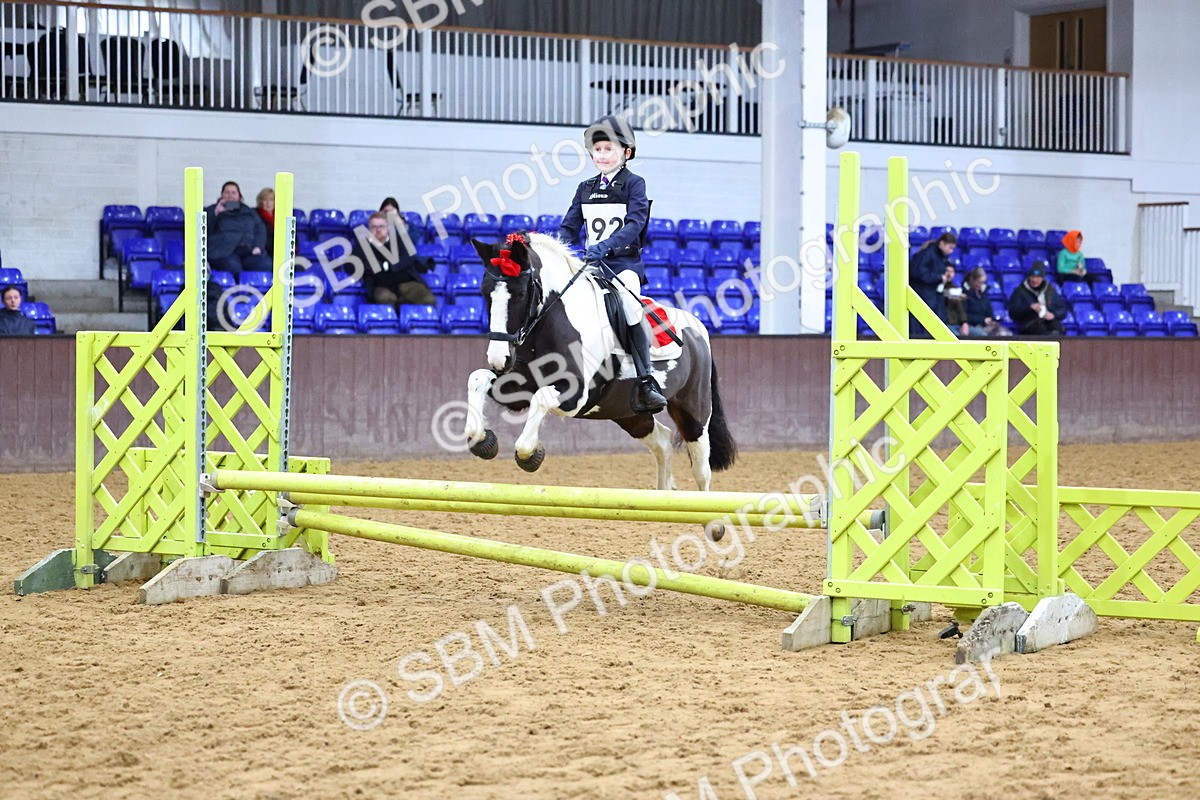 SBM_001293 - Class 3 - Christmas Tree Stakes - 60cm