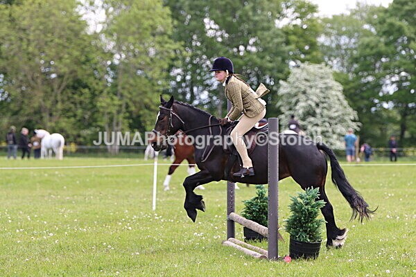 IMG_2471 - Working Hunter