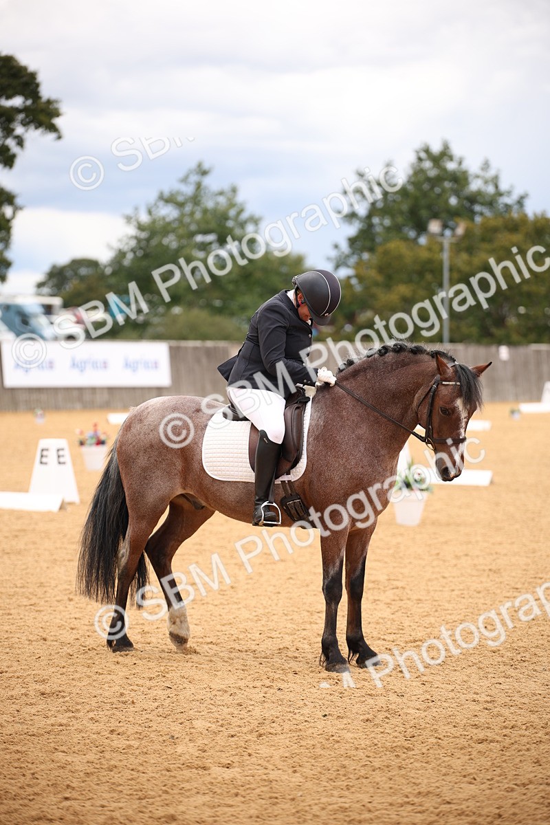SBM_09102 - D8 Small Tour Championship Prelim 7