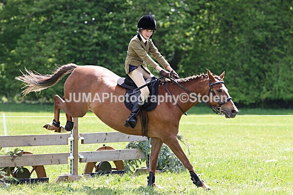 IMG_3645 - Working Hunter