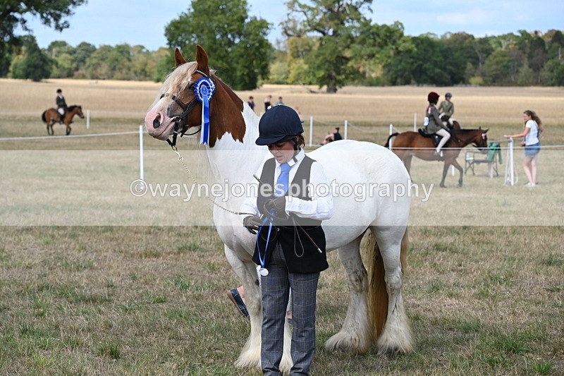 WJ6_6706 - Class 20 In-hand Cob