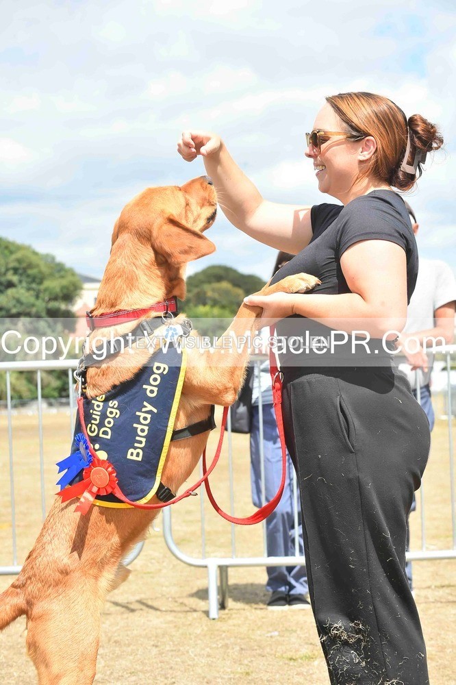 SH4_0257 - Dog show.