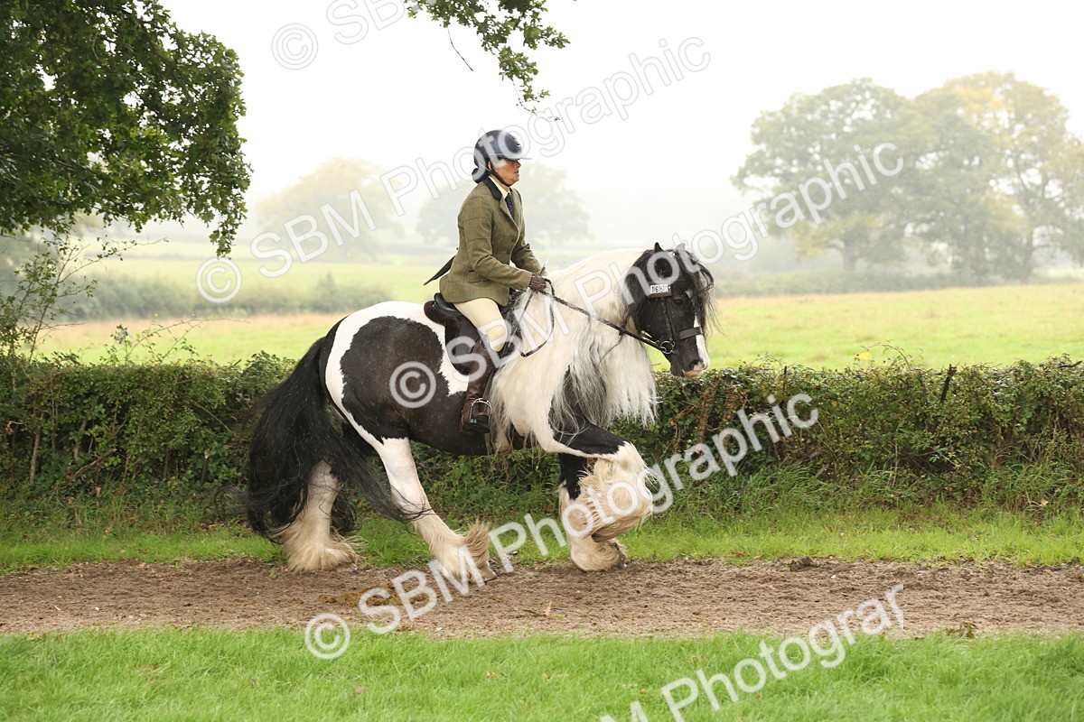 SBM_72718 - S70 - Traditional Cob Ridden