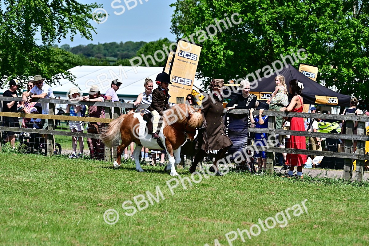 SBM_05808 - Class 59-60 - TSR M&M  Lear Rein and First Ridden Amateur of the year