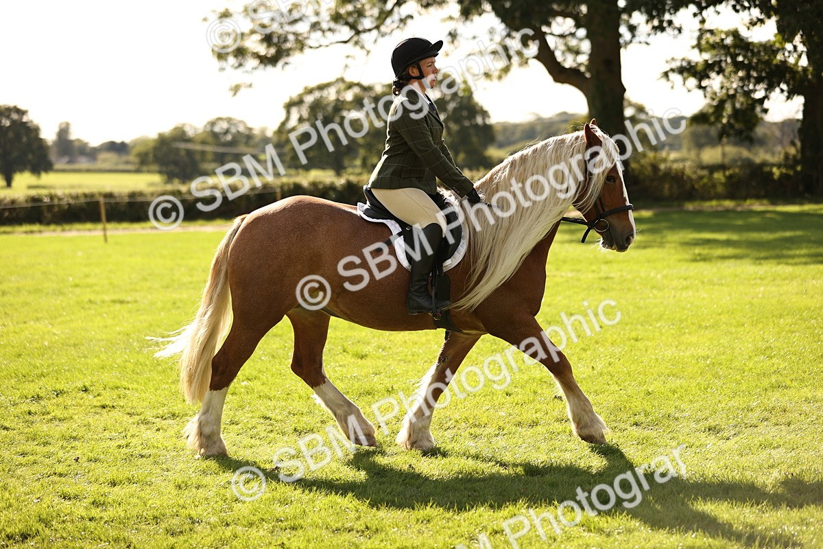 SBM_26410 - S6 - Novice & Newcomers Ridden Horse
