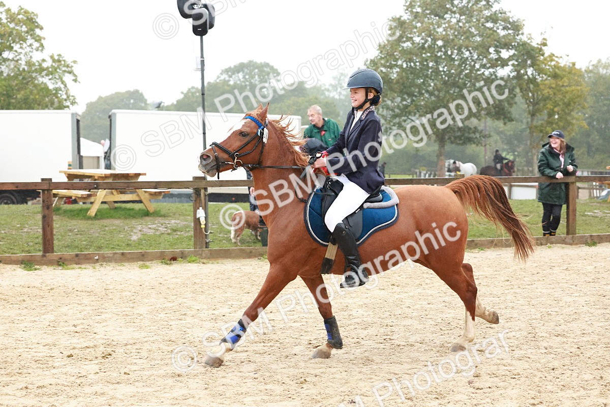 SBM_73674 - Supreme Championship Junior Pony 60cm & 65cm