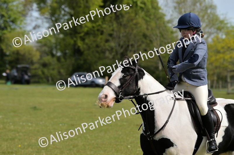 20260426-2274 - Class 20 - Beginner Working Hunter