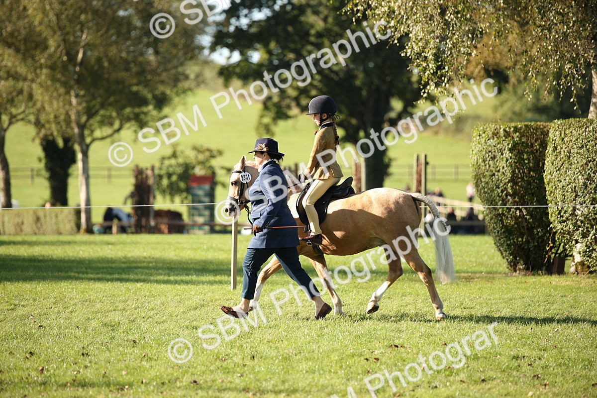 SBM_35714 - S9 - Lead Rein Equitation