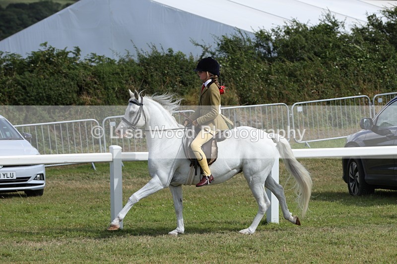 1X9A5725 - Class 40: NPS Welsh A & B