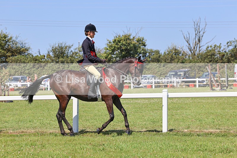 IMG_2159 - Plaited Ridden Championship