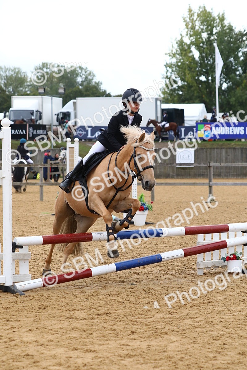 SBM_62251 - J64 - Junior Pony 60cm Championship