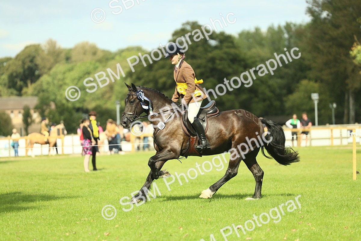 SBM_45038 - Working Hunter Pony Supreme Championship