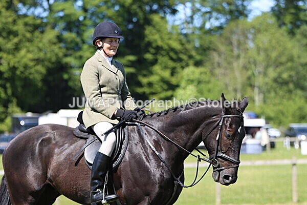 IMG_4147 - Working Hunter