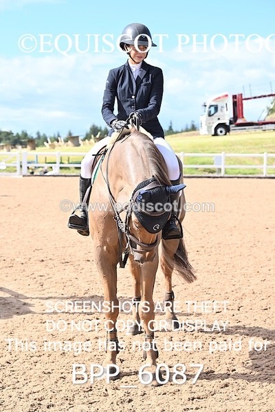 BPP_6087 - CLASS 10 THURS Nupafeeds Senior Dicovery/1m open