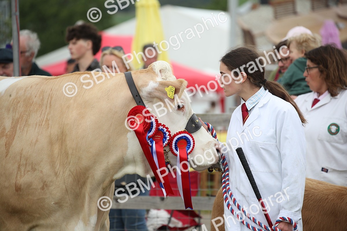 SBM_07855 - Grand Parade