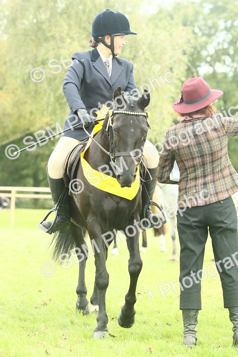 SBM_74133 - S 61 - Show Pony & Show Hunter Pony Ridden