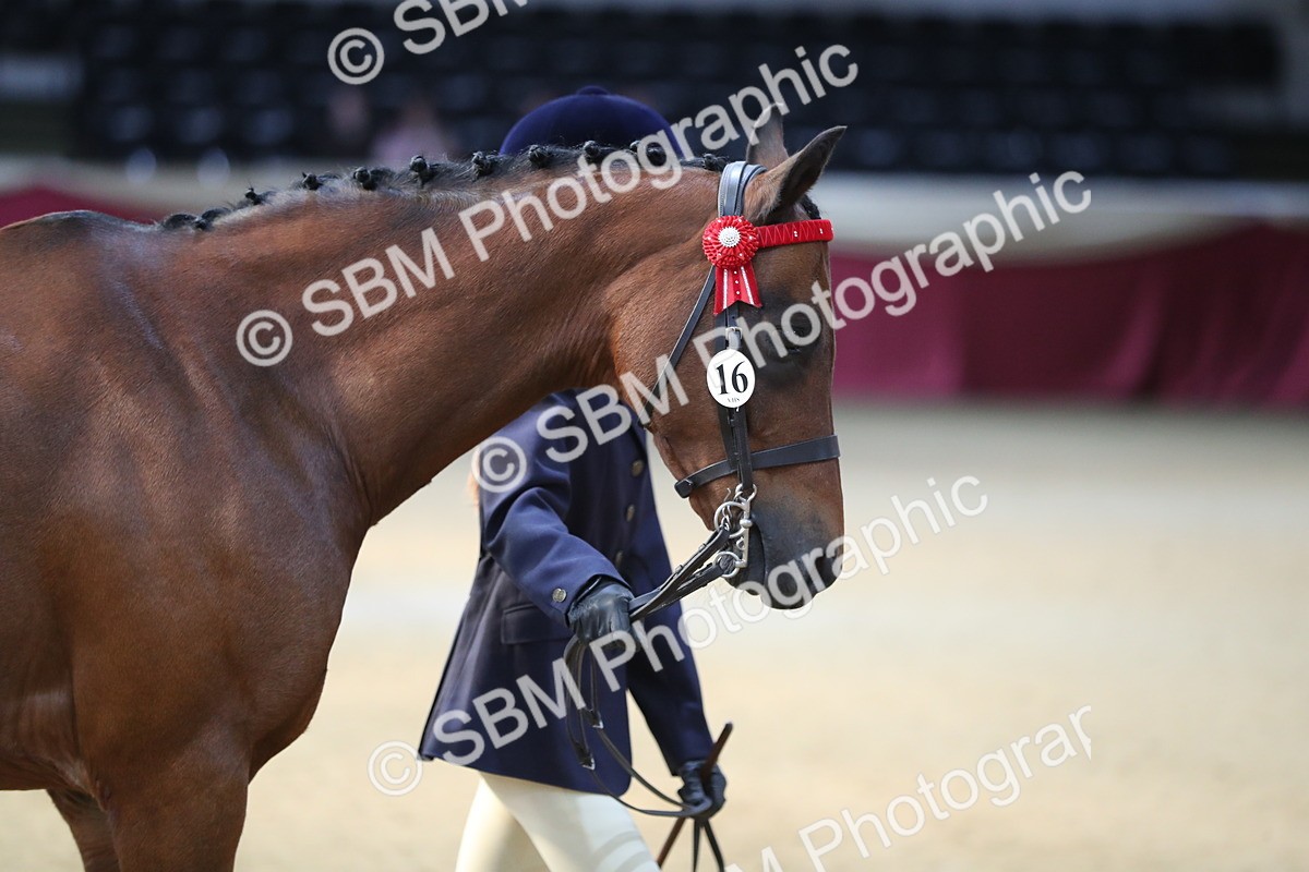 SBM_01274 - Class 3a Area IH Pre Vet