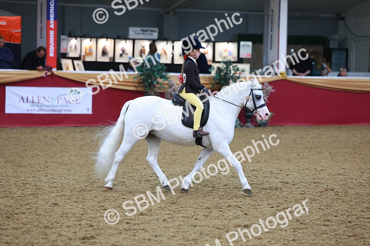 SBM_10696 - Class 103 - HOYS Veteran Qualifier - Ridden Pre Vet