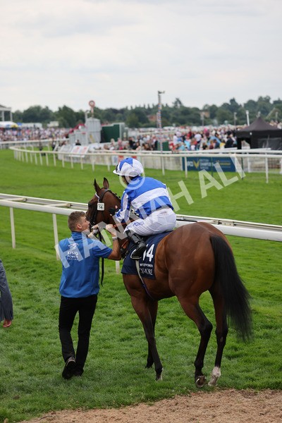 yr20082021r4-77 - Race 4 3.35pm Coolmore Wootton Bassett Nunthorpe Stakes (British Champions Series Race)