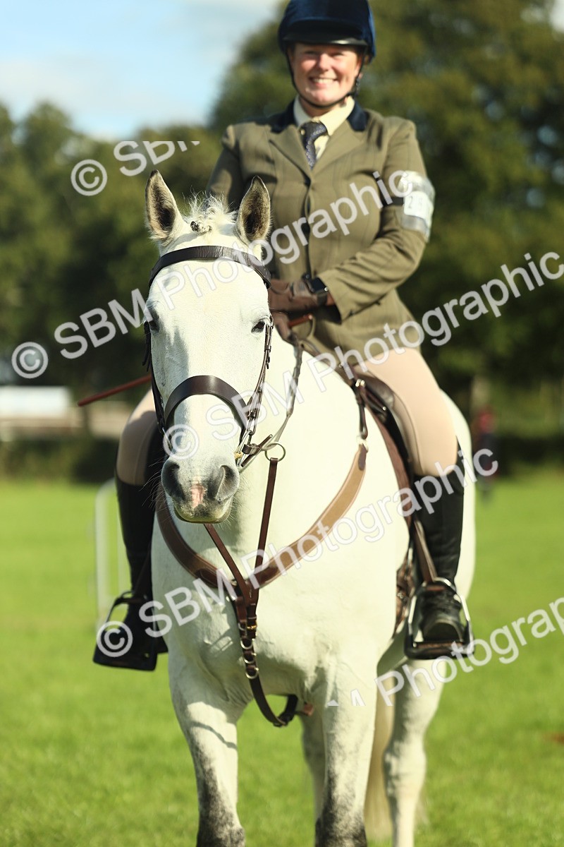 SBM_49839 - S32 - Novice & Newcomers Working Hunter