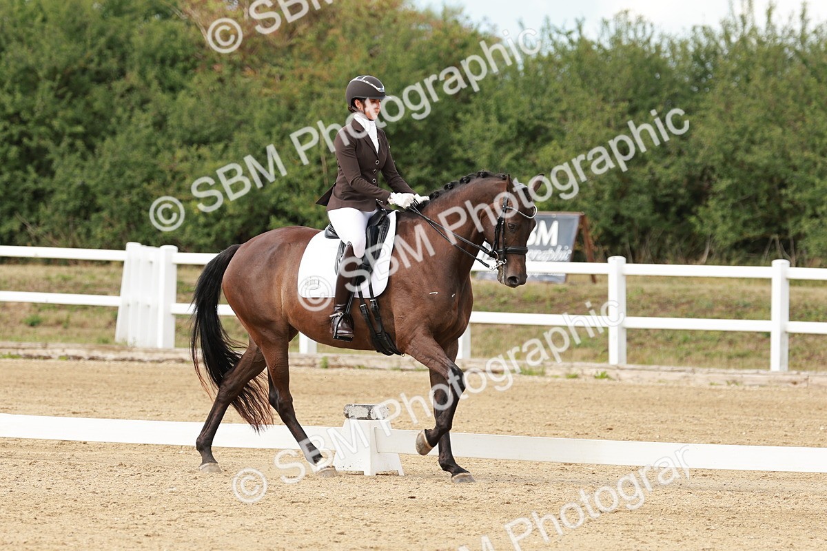 SBM_002390 - Class 11 - Medium 6