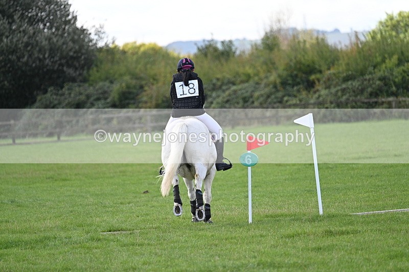 WJ7_8636 - Time 11:10 to 11:53