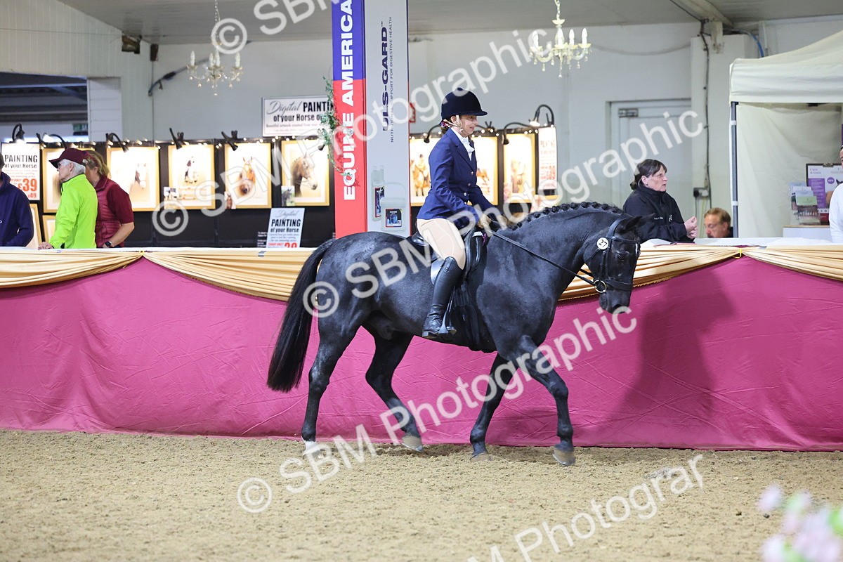 SBM_19140 - Class I Competition/ Riding Club Champ