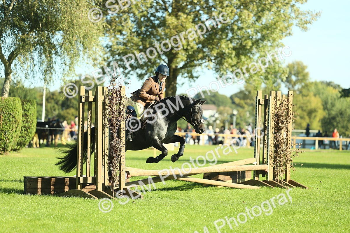 SBM_36456 - S29 - Novice & Newcomers Working Hunter Pony