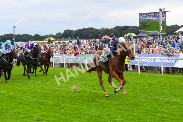 240823-Race 2-Dragon Leader-0230 - Race 2 2.25pm Goffs UK Harry Beeby Premier Yearling Stakes