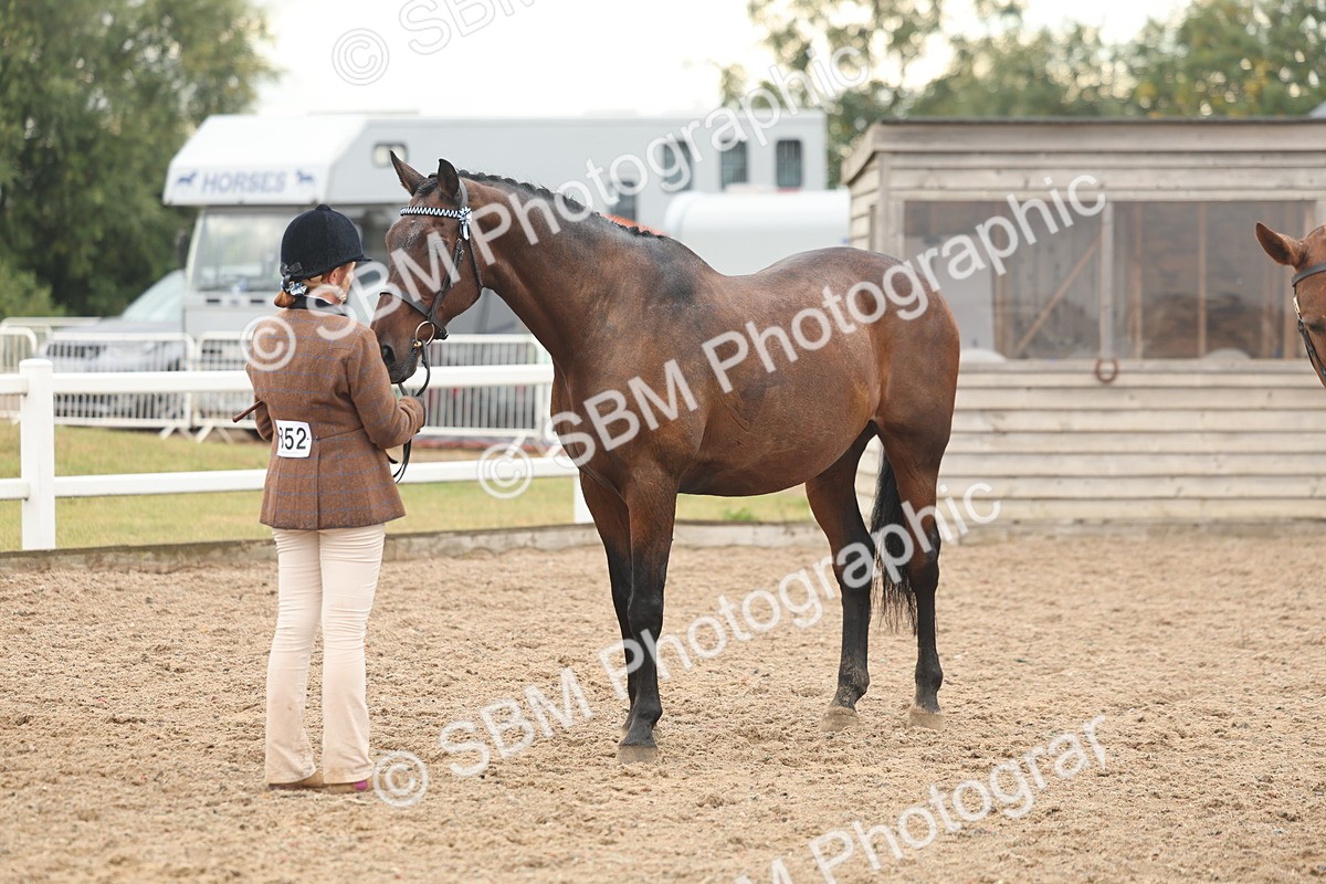 SBM_07789 - Class 27 - IH Competition Horse/Pony